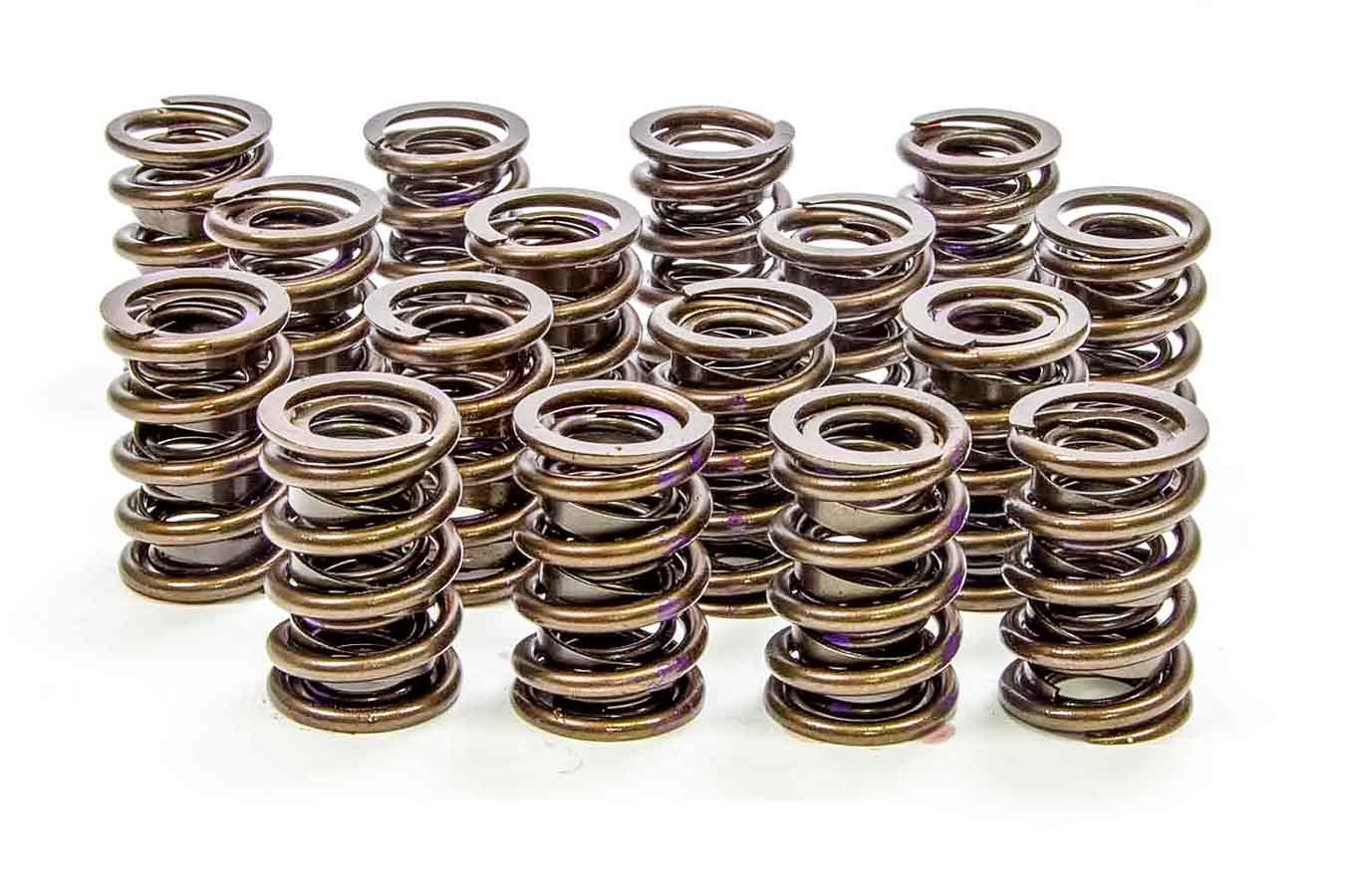 1.530 Endurance Plus Dual Valve Springs 16pk