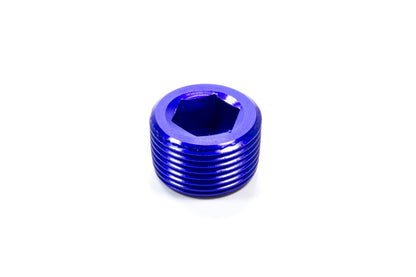 3/4 MPT Allen Pipe Plug